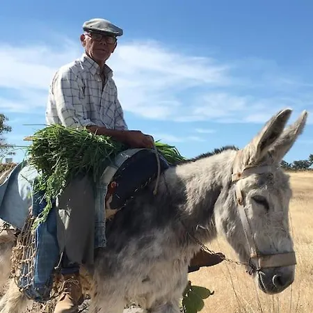 Casadasfurnazinhas Сasa de vacaciones Castro Marim