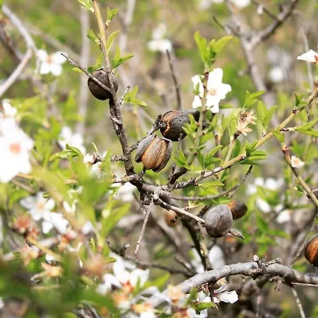 Casadasfurnazinhas Сasa de vacaciones Castro Marim