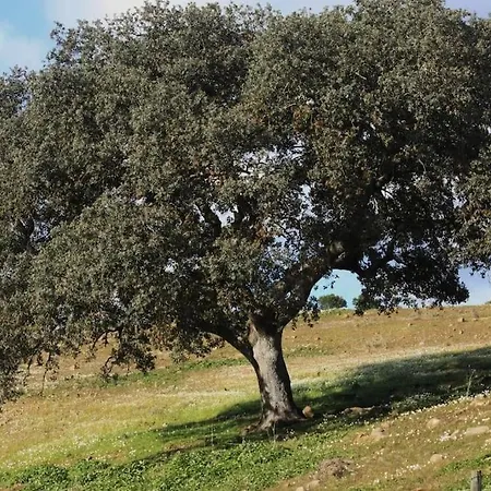 Casadasfurnazinhas Сasa de vacaciones *