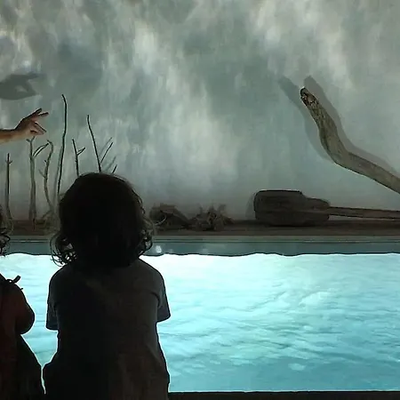 Casadasfurnazinhas Сasa de vacaciones