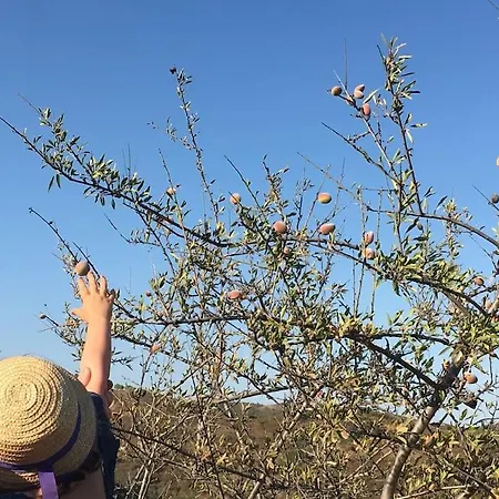 Casadasfurnazinhas Сasa de vacaciones