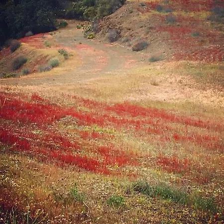 Casadasfurnazinhas * Castro Marim