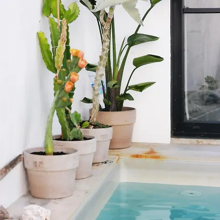 Casadasfurnazinhas Castro Marim